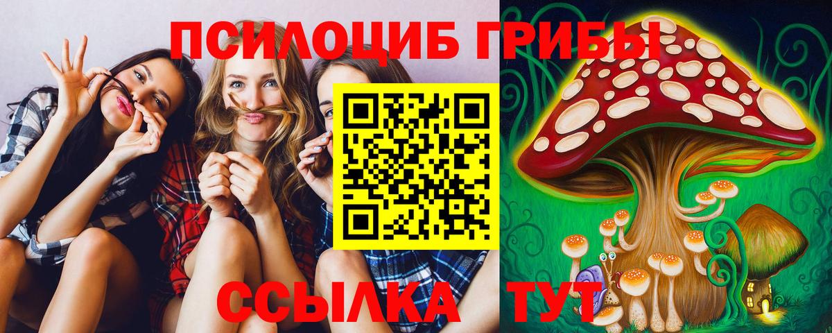 магазин продажи наркотиков  Псилоцибиновые грибы MAGIC MUSHROOMS  Вход с VPN  Можга  Псилоцибиновые грибы мухоморы 